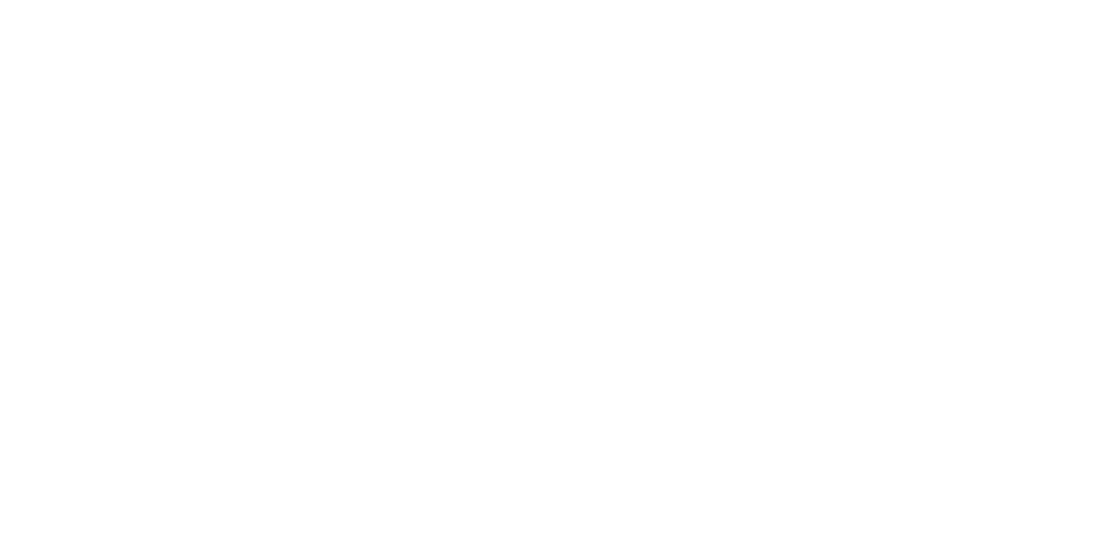Logo blanc - Solfi Courtage